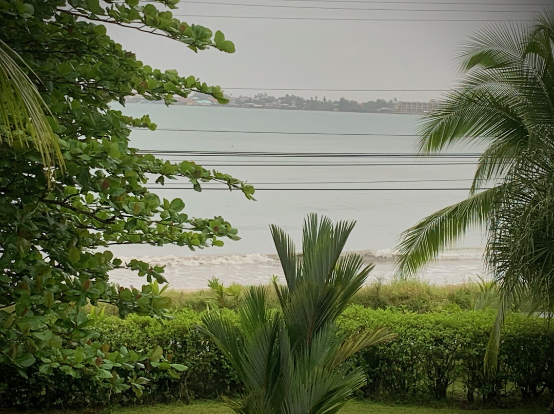 Sand Dollar Beach Bed & Breakfast主图