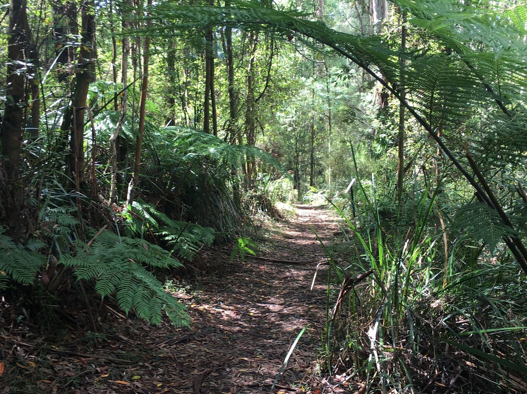 Kurth Kiln Regional Park-Gembrook必去景点