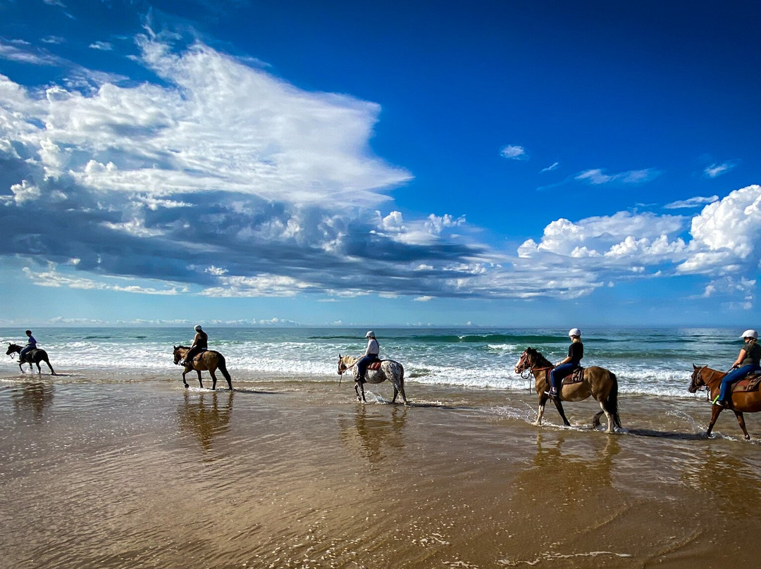Sahara Trails Horse Riding景点图片