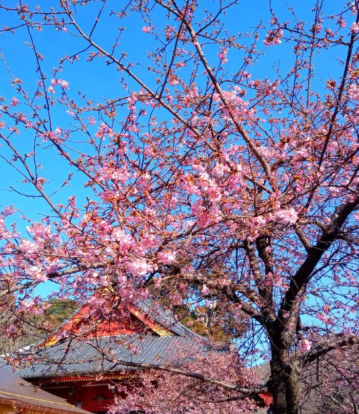 Amabiki Kannon-樱川市必去景点