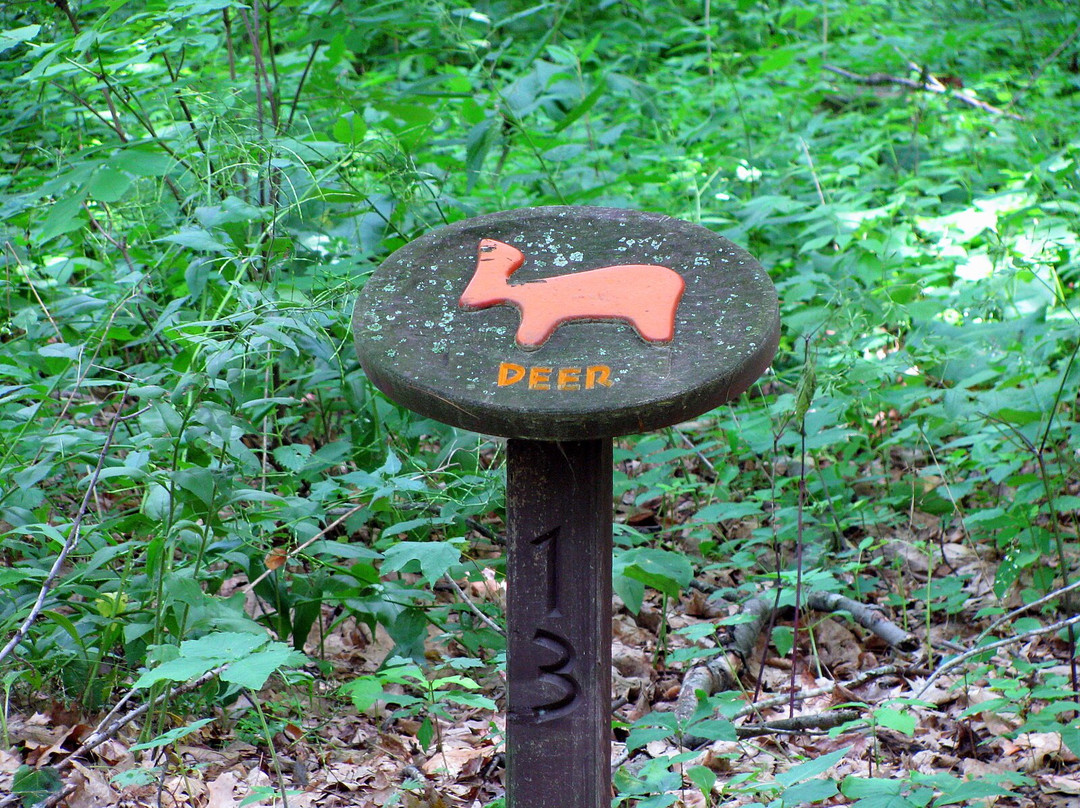 Indian Mounds Park景点图片