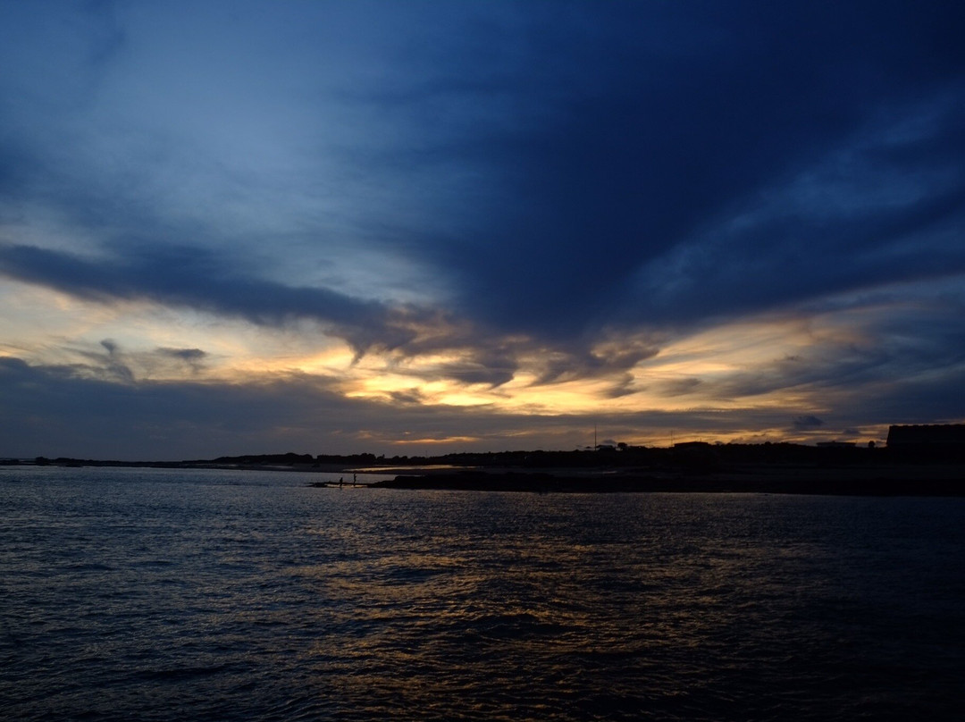 Broome Whale Watching景点图片