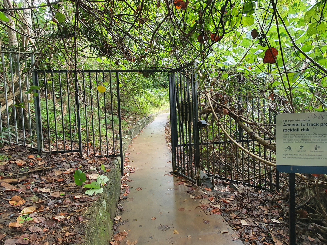 Rainforest Track-伯利角必去景点