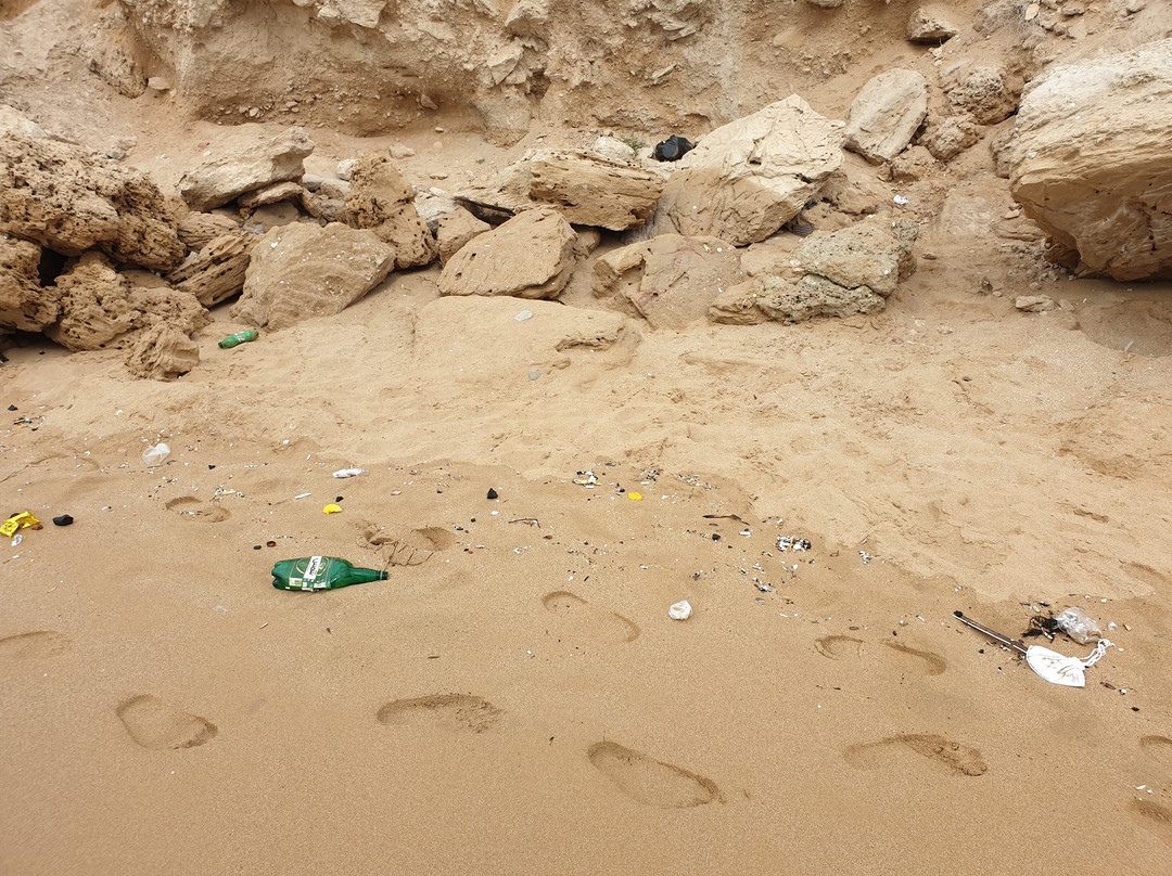 Ree Shahr-Bushehr必去景点