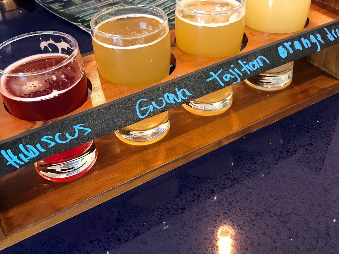 Botanical Brewing Company-开普科勒尔必去景点