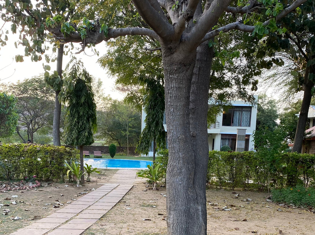 Sariska Tiger Heaven主图