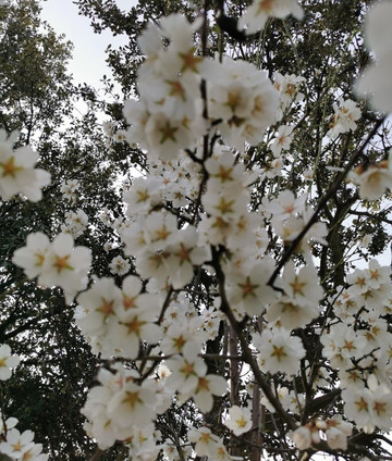 Mirador De La Calle Del Canal-Galapagar必去景点