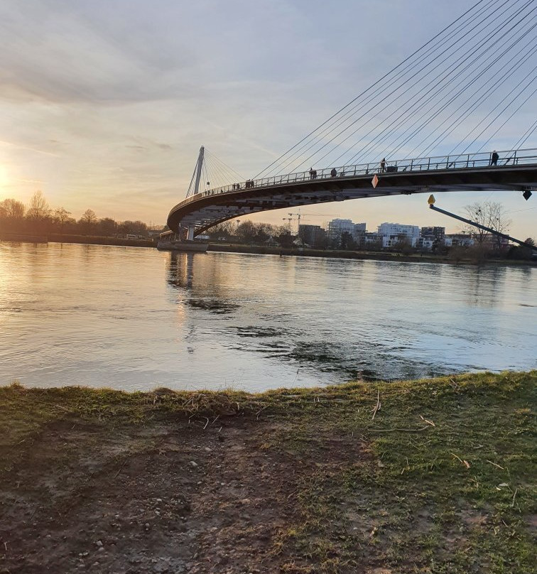 Passerelle des Deux Rives-凯尔必去景点