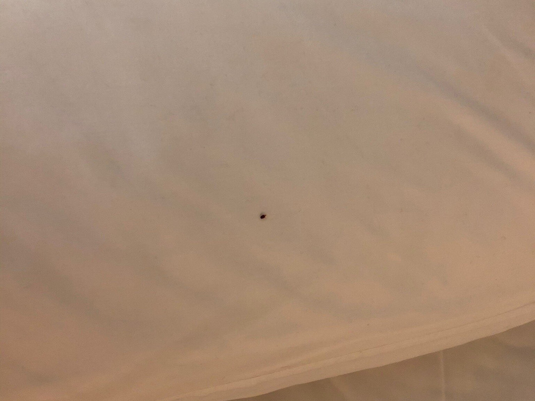 Holiday Inn Express & Suites Chaffee-jacksonville West By IHG主图