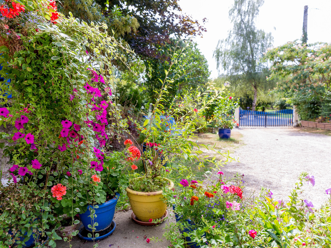 Chambres D'Hotes Floromel主图