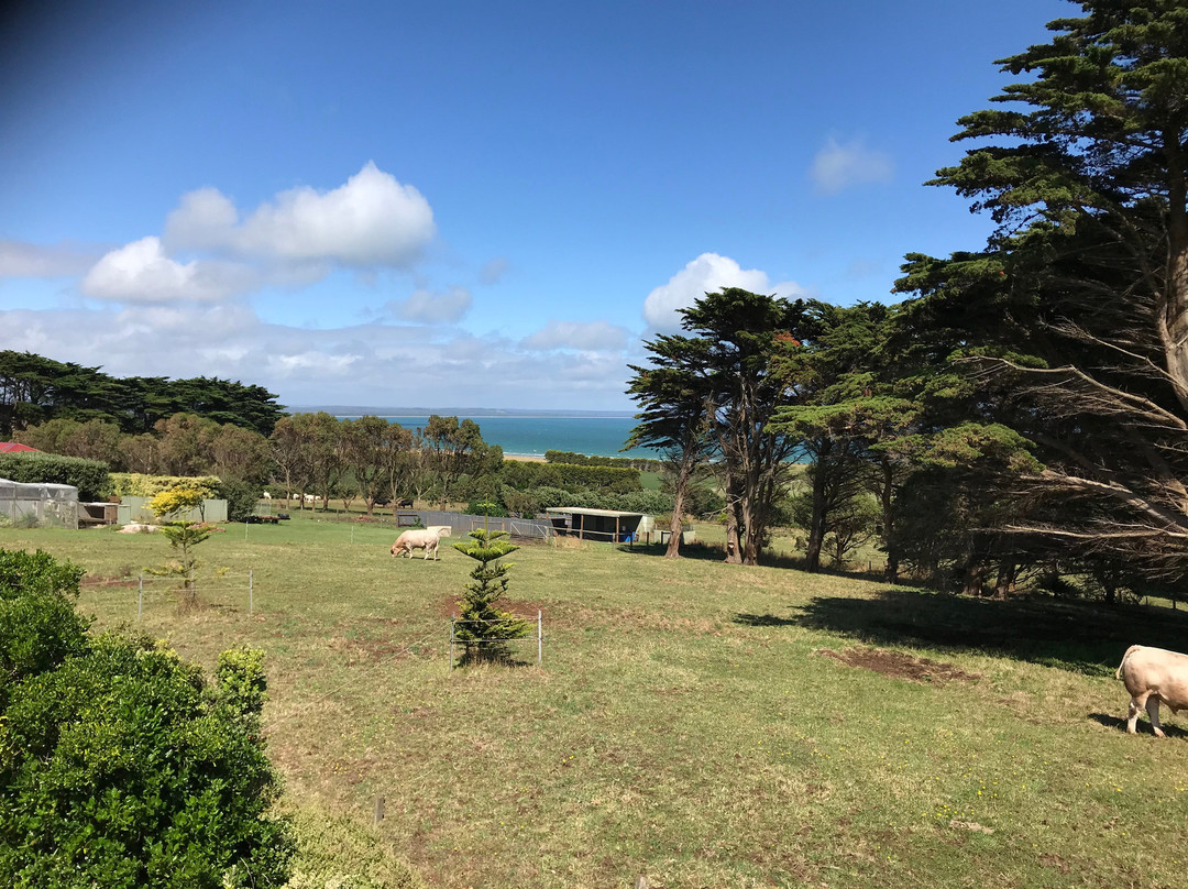 HA Lane Memorial Lookout-斯坦利必去景点
