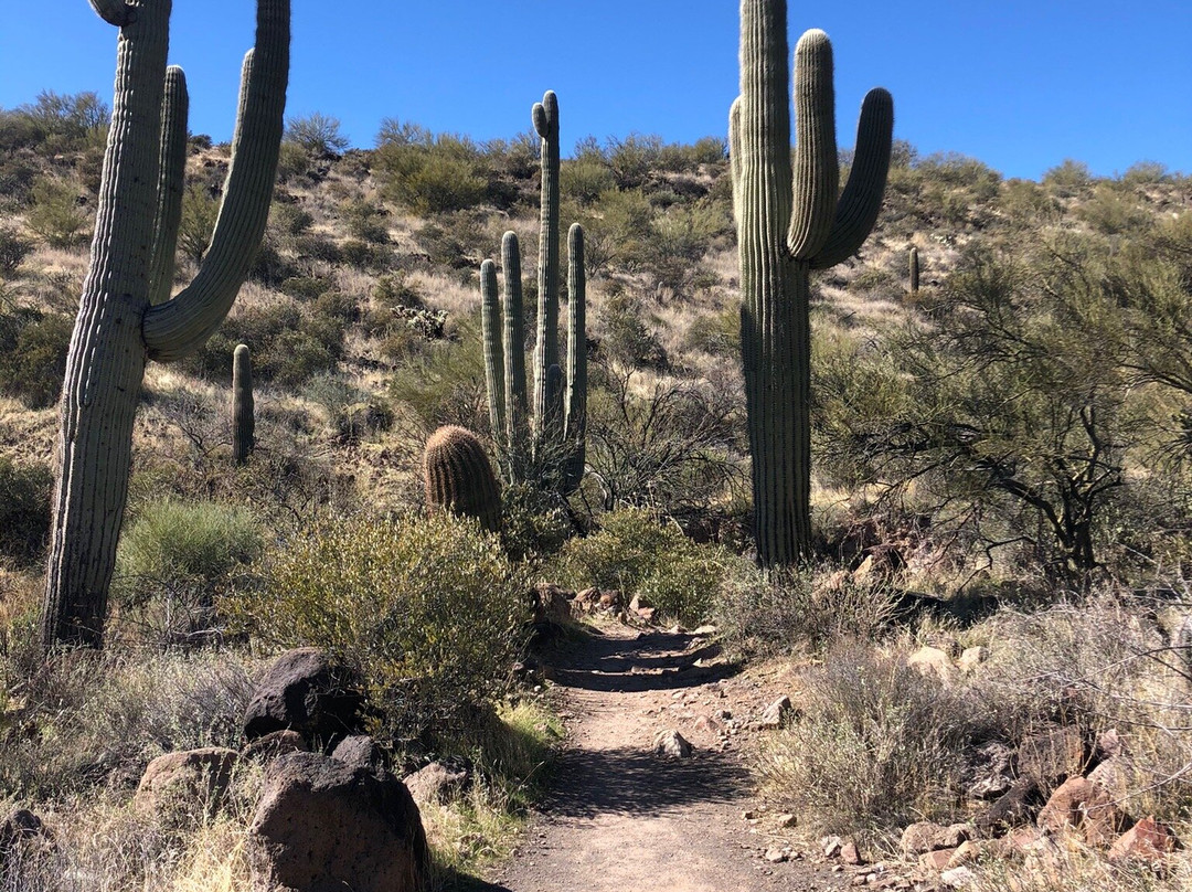 Spur Cross Ranch-洞溪必去景点