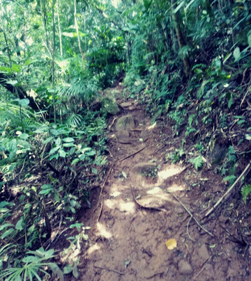 Cascata da Pedra Branca-Tres Forquilhas必去景点