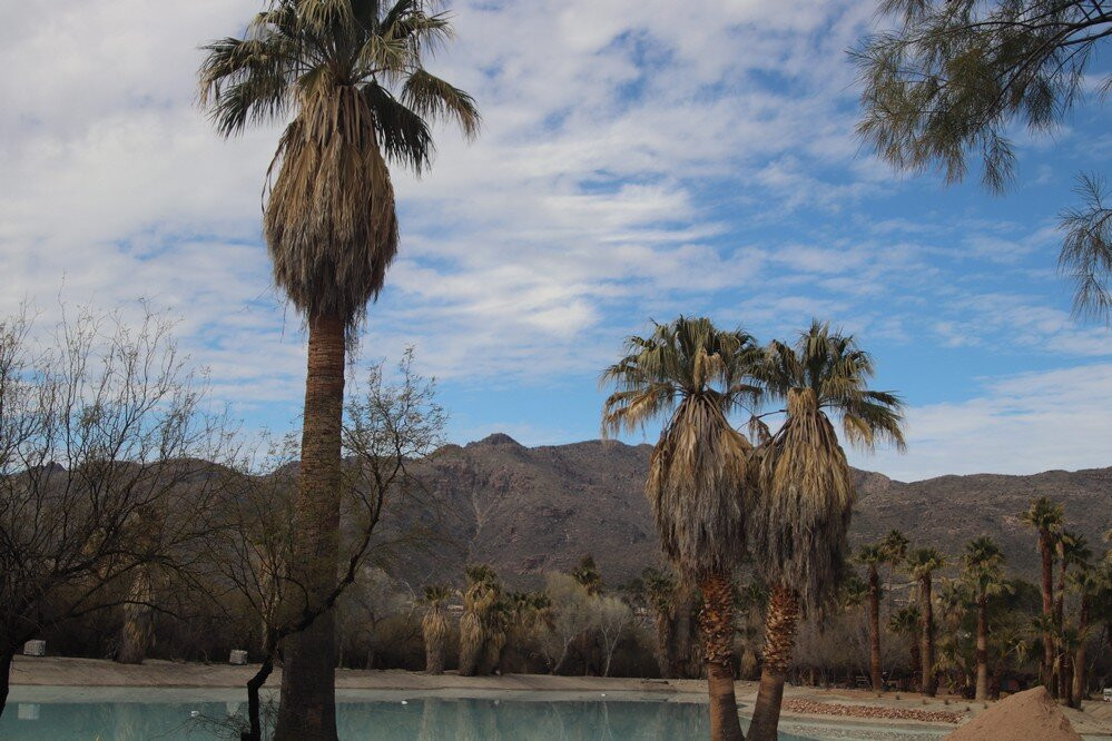 Agua Caliente Park-图森必去景点