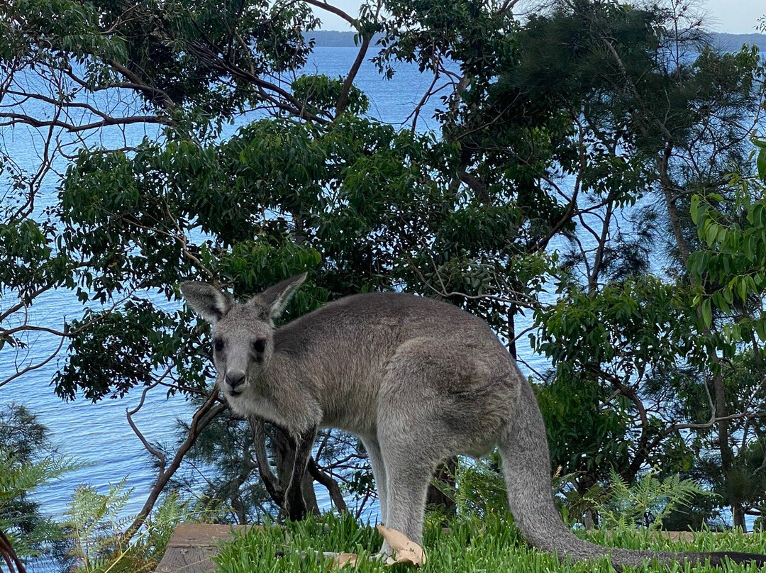 The Edgewater on Greville主图
