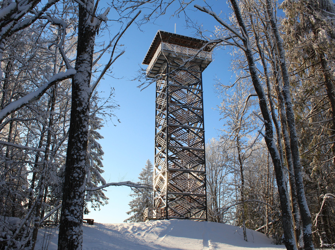 Delinkalns Watchtower-Aluksne必去景点