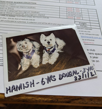 Cape Naturaliste Vineyard-雅林角必去景点