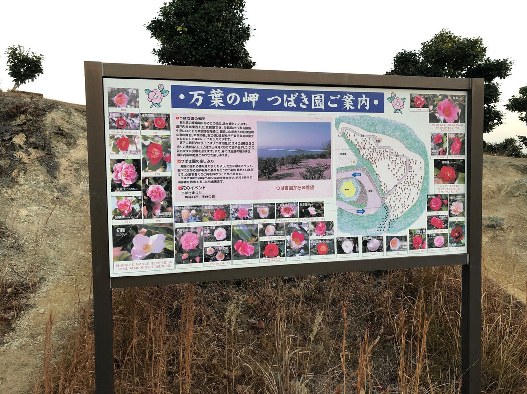 Manyo Cape-相生市必去景点