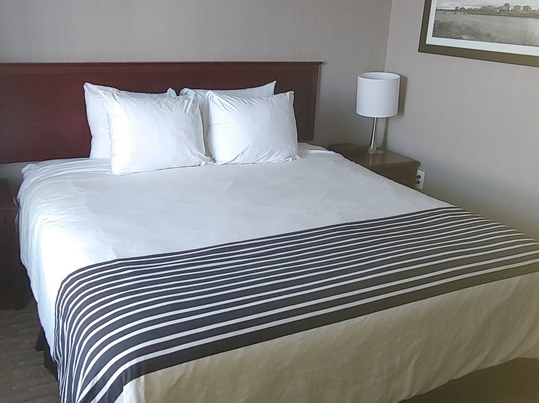 Sandman Hotel Saskatoon主图