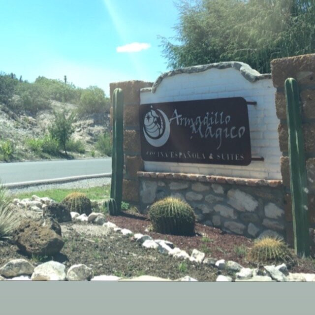 Armadillo de los Infantes旅游攻略图片