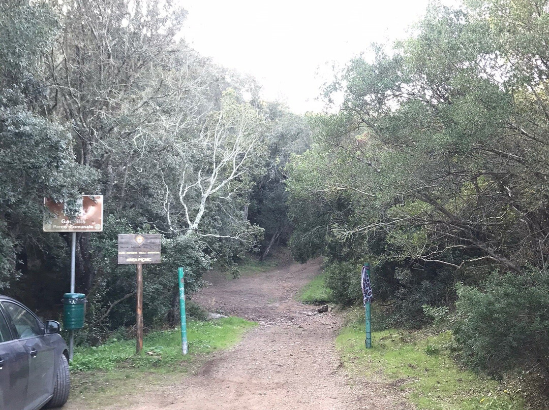 Parco Comunale Gentilis-Guspini必去景点