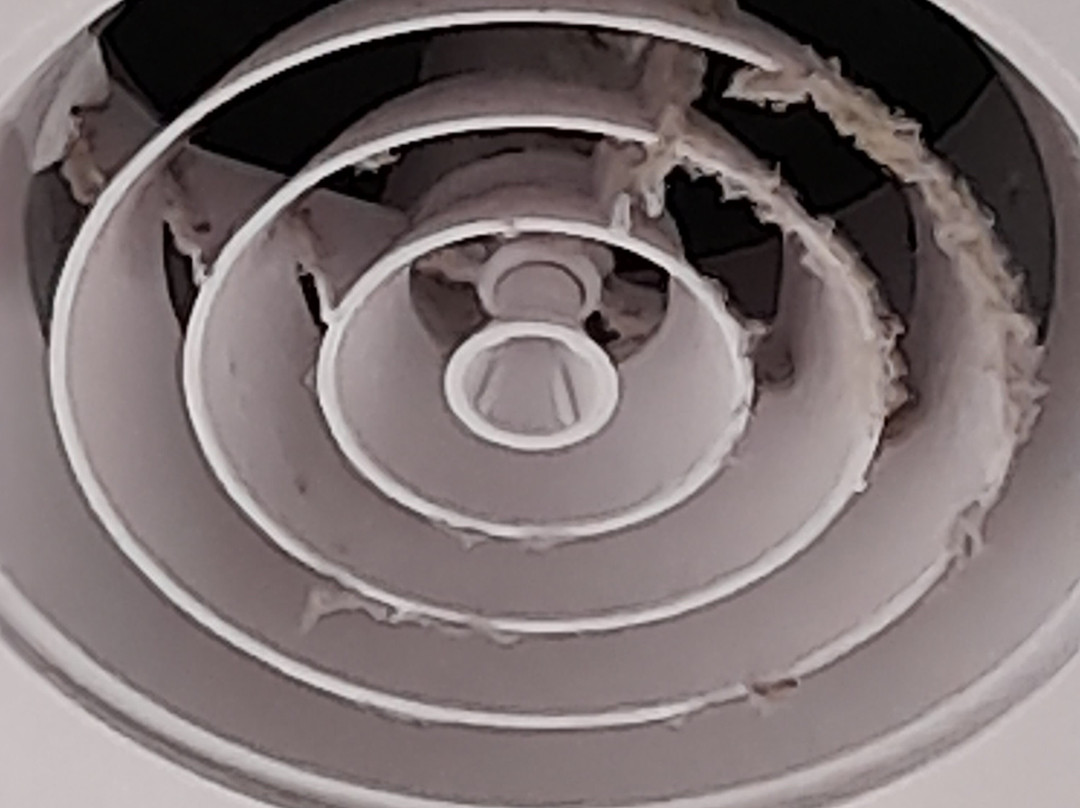 The Houston Wagga主图