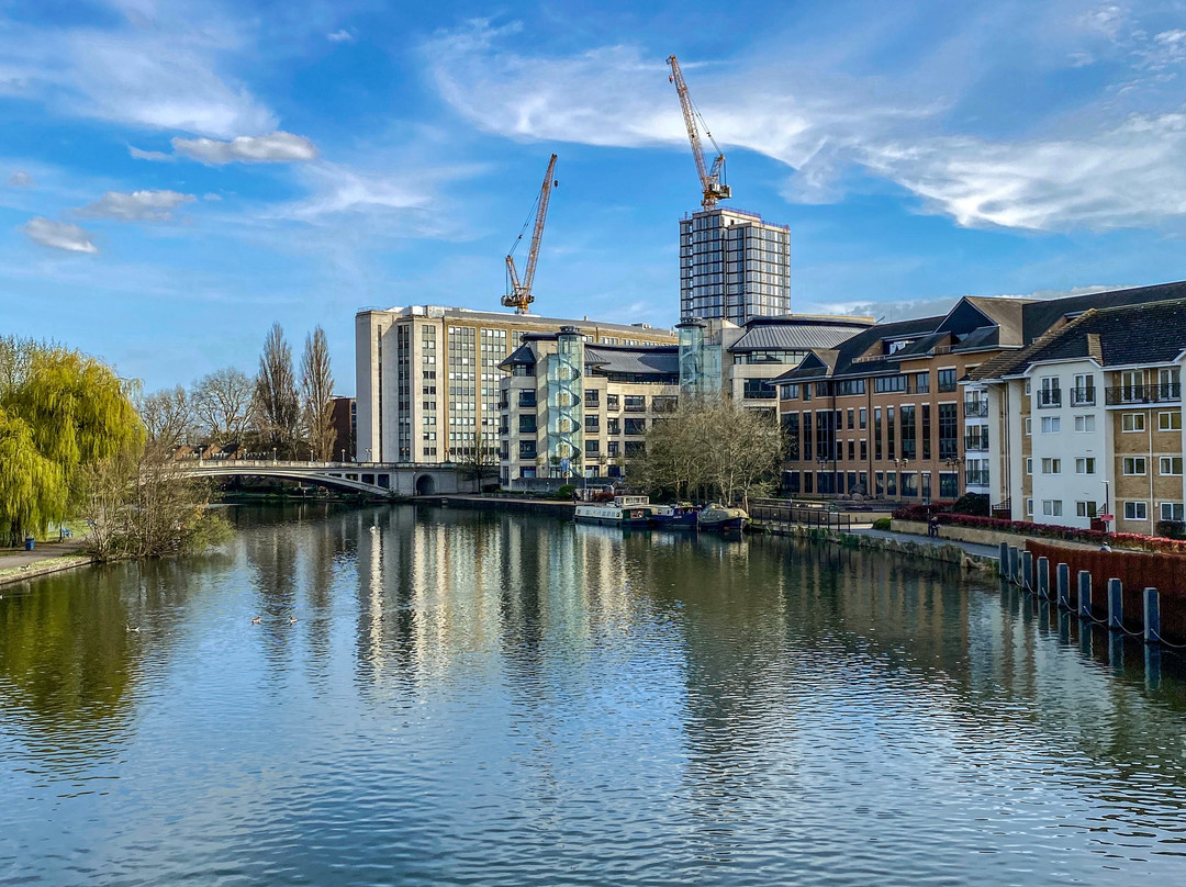 Caversham Court Gardens景点图片