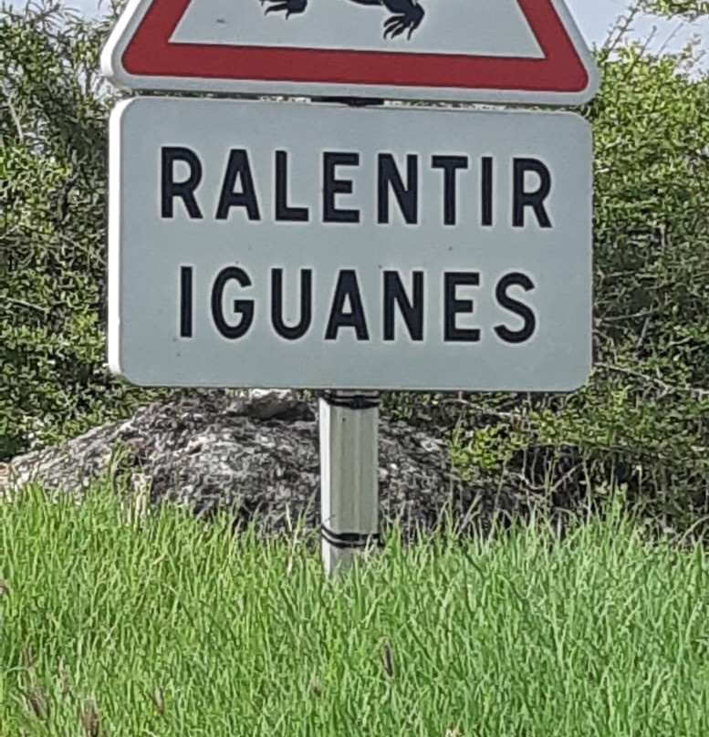 Phare de la Pointe Doublé-La Desirade必去景点