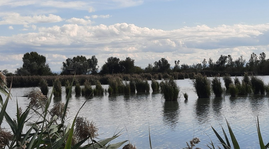 Oasi del Quadrone景点图片
