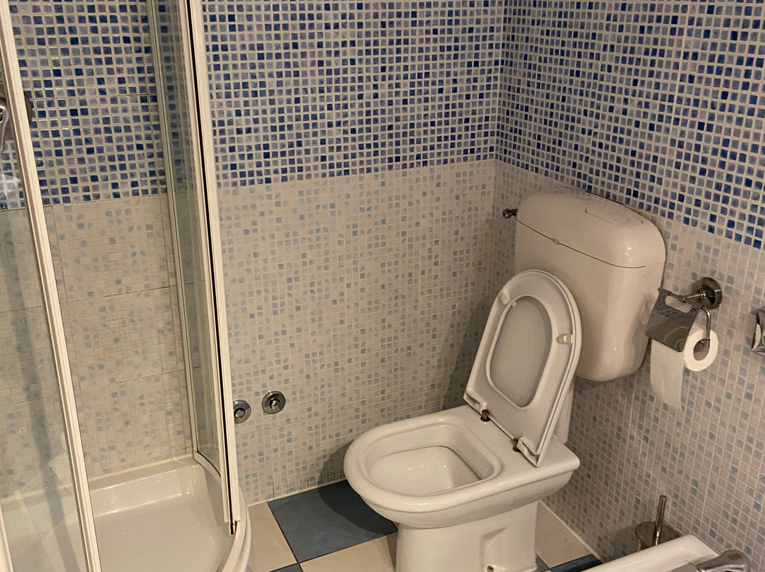 Hotel Villa Ducale主图