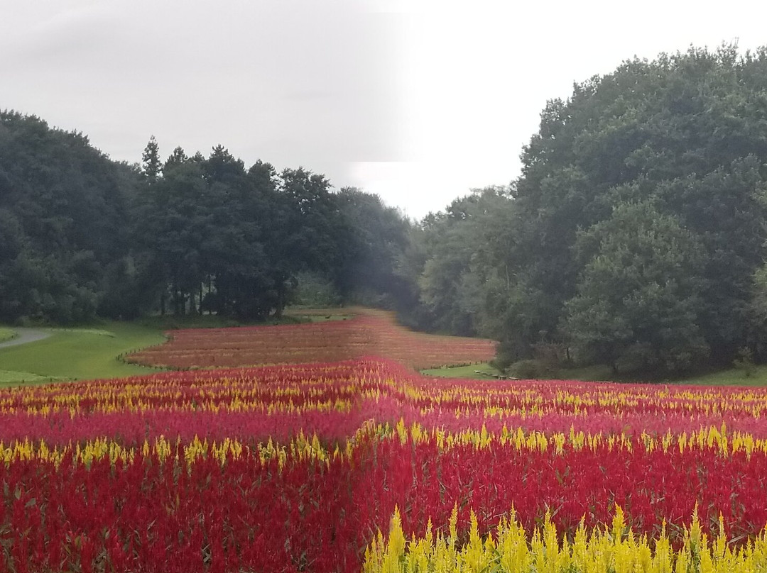 Musashi Kyuryo National Government Park-滑川町必去景点