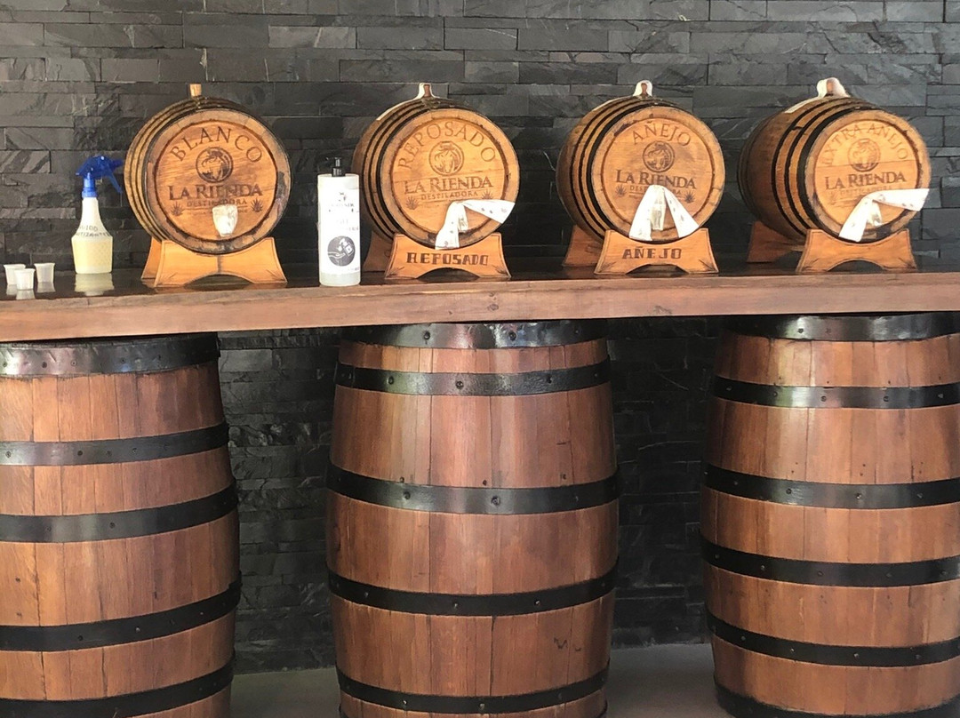 Destiladora La Rienda-特基拉必去景点