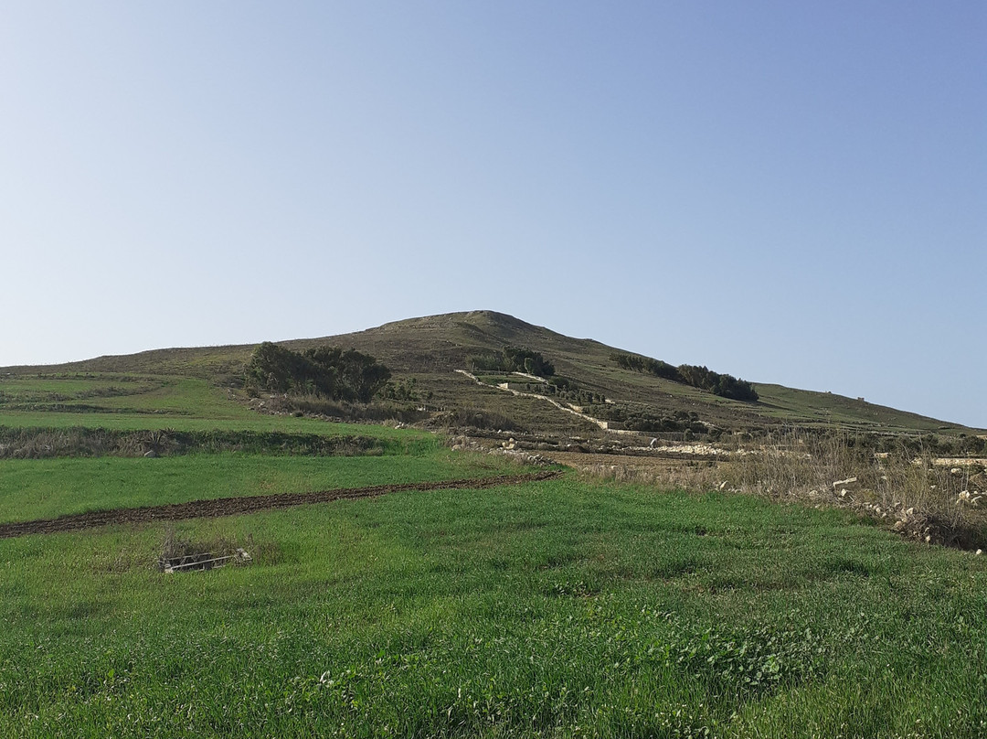 Ta’ Pinu Bed & Breakfast主图