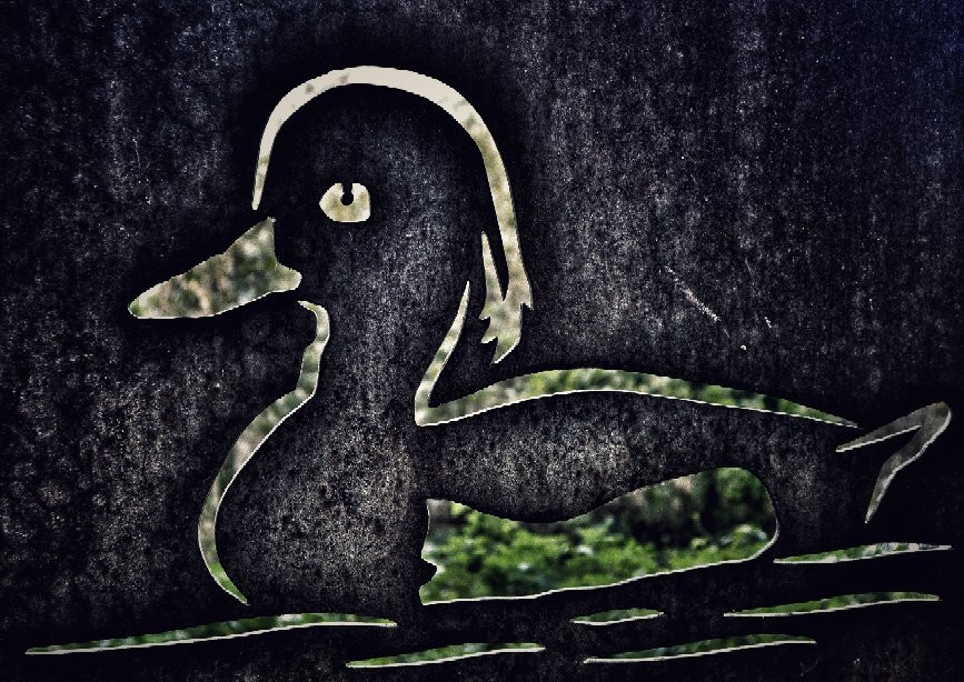 Biotopo Lago di Pudro-Pergine Valsugana必去景点