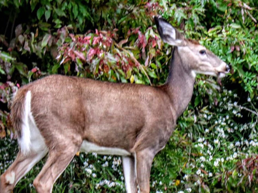 Lynde Shores Conservation Area-Whitby必去景点