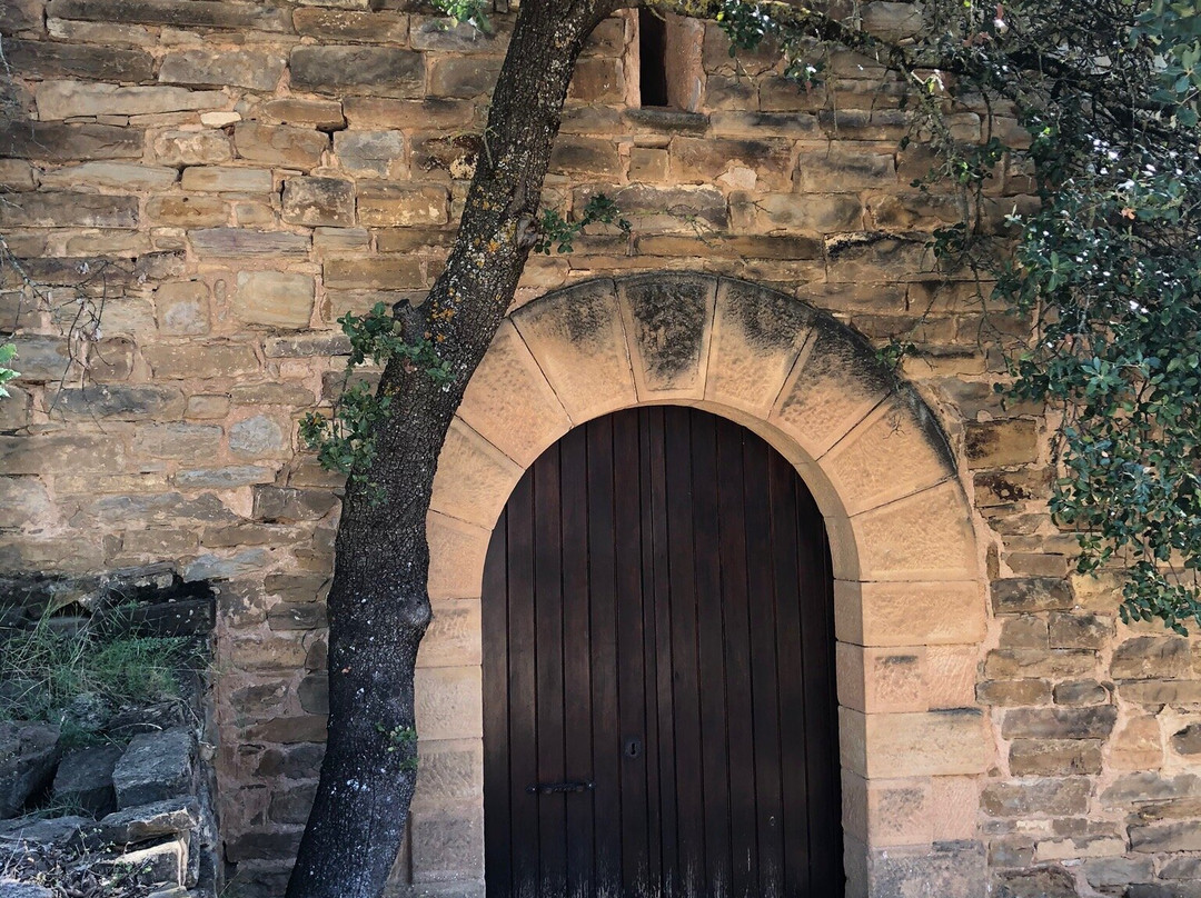 Bodega Castell d'Encus景点图片