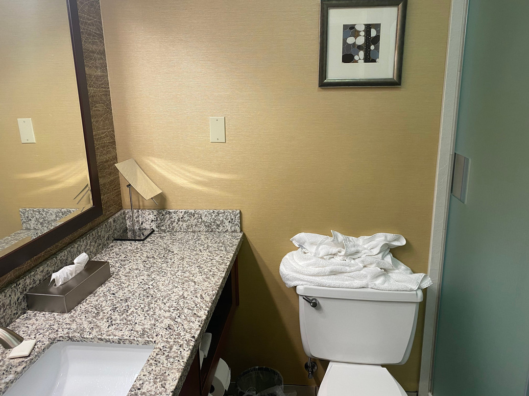 布法罗比尔科迪村假日酒店主图