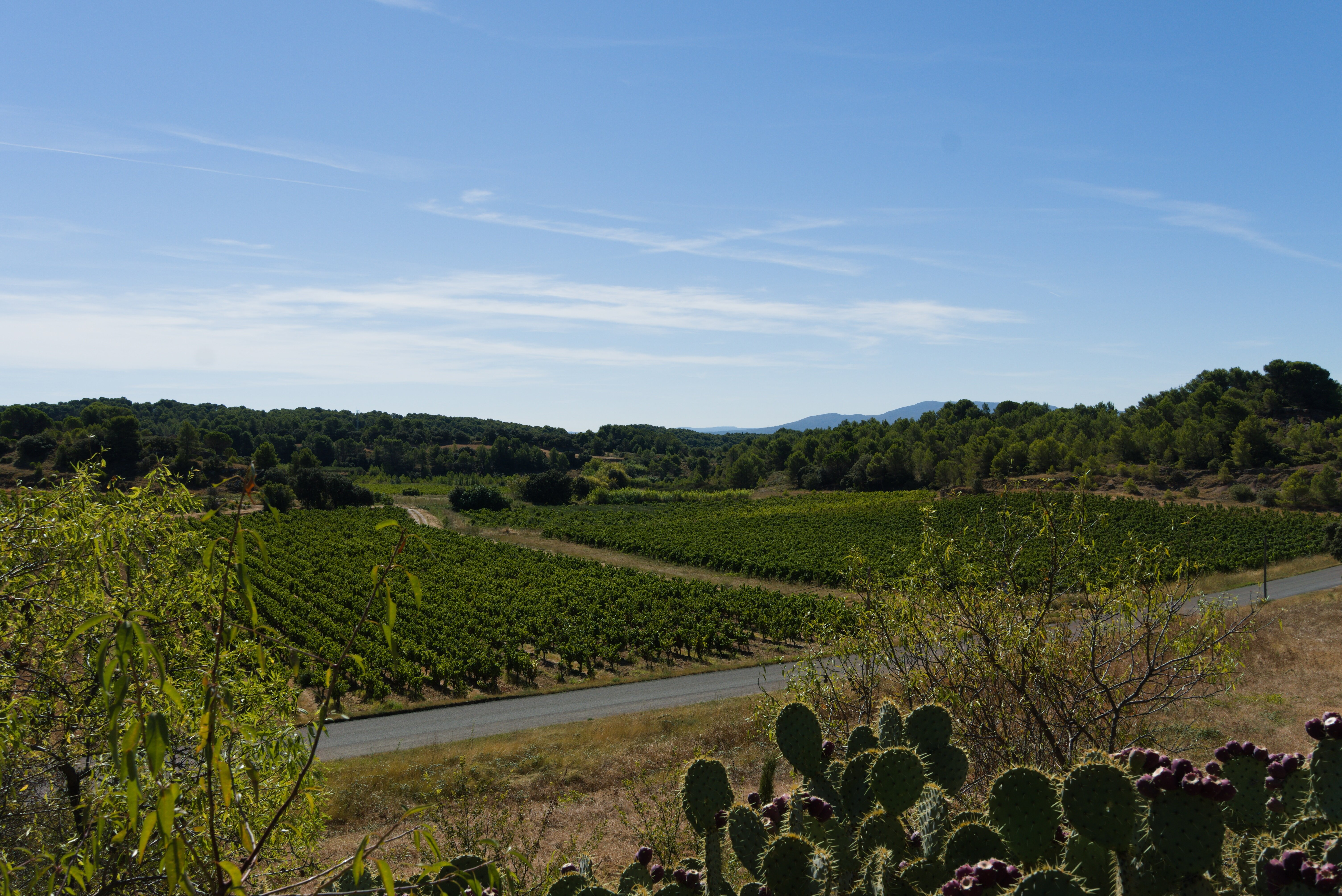 Domaine de Palatz-浴室