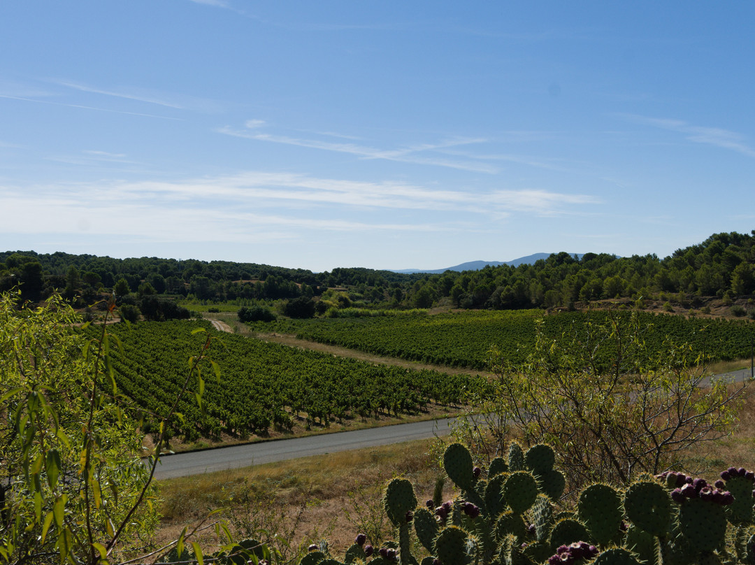 Domaine de Palatz主图