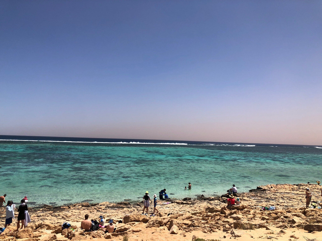 Oyster Stacks-埃克斯茅斯必去景点