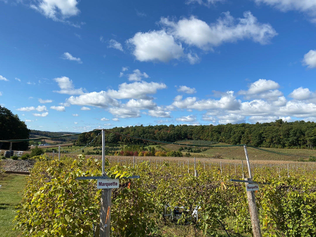 Blue Ridge Estate Winery景点图片