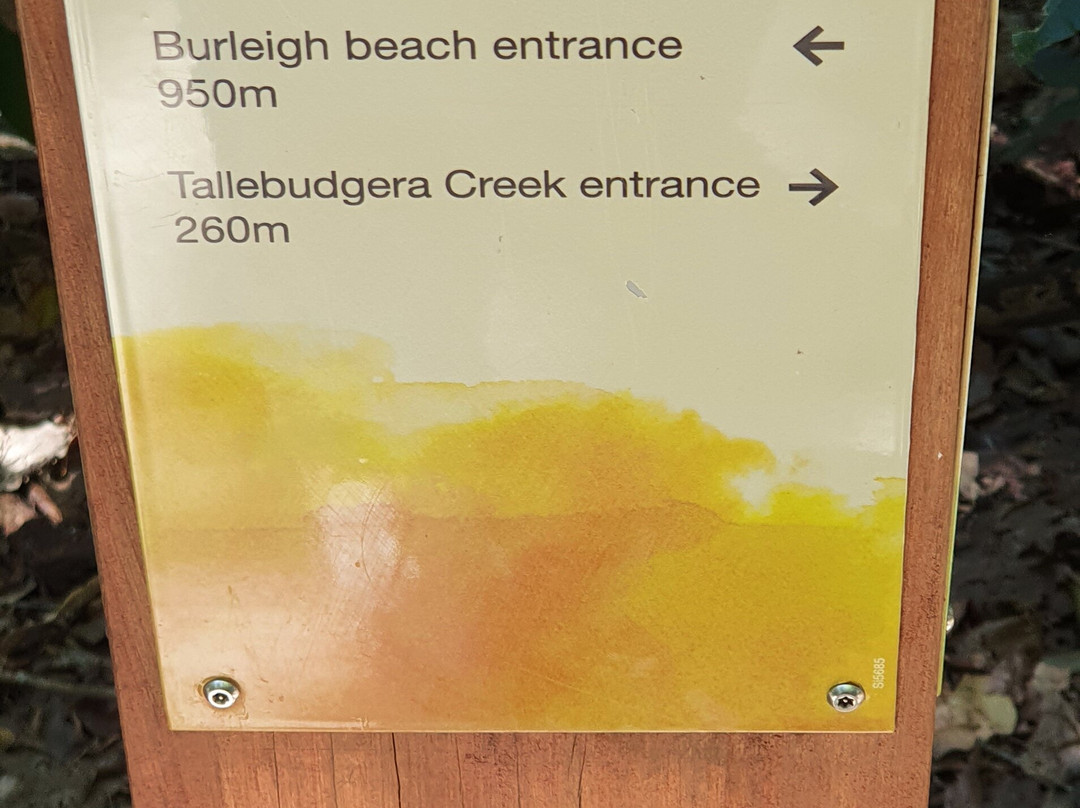 Burleigh Headland Ocean View Track-伯利角必去景点