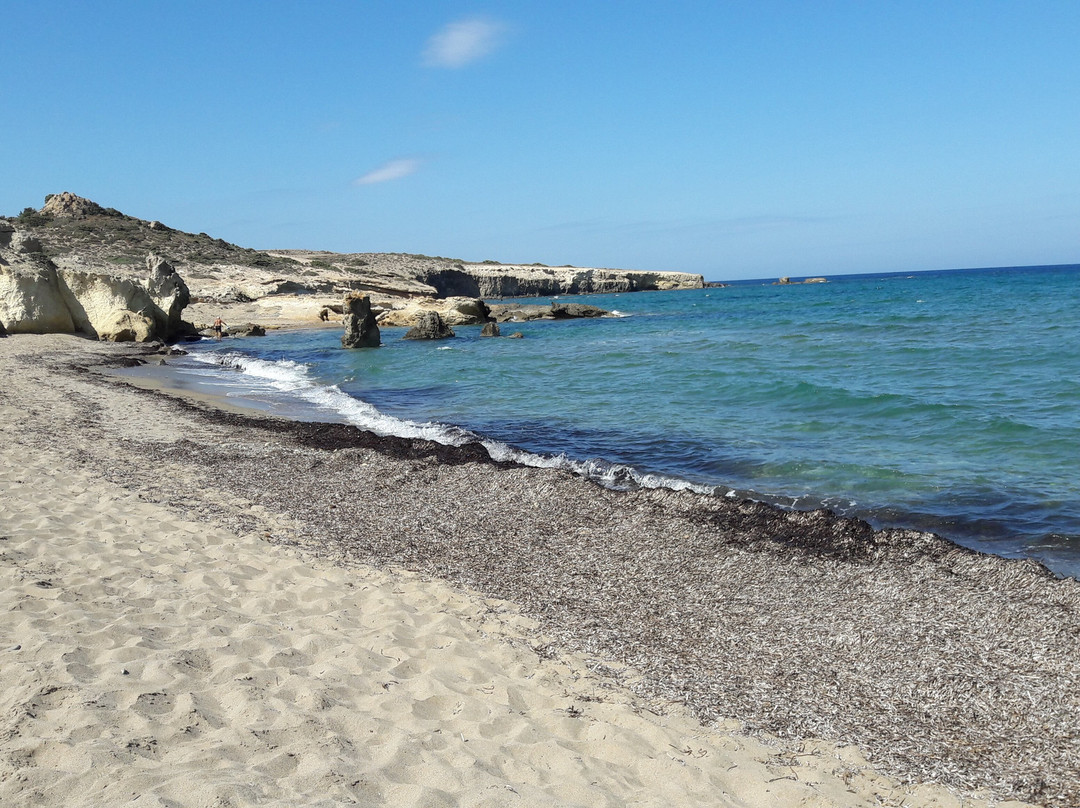 Pachaina Beach-Pachena必去景点