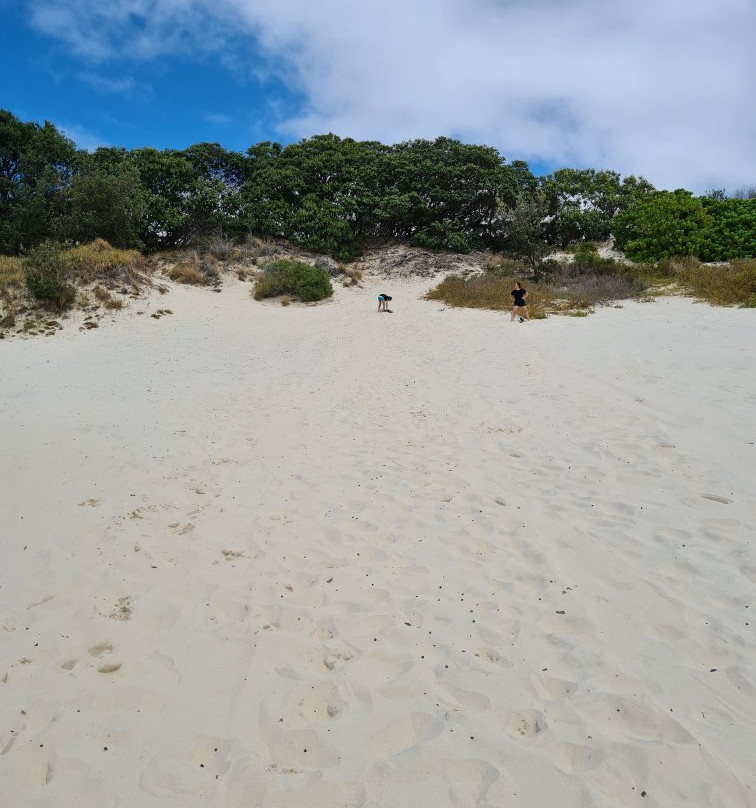 Straddie Kingfisher Tours景点图片