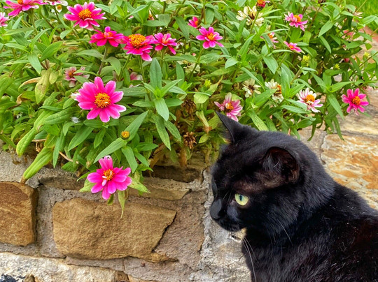 The Old Liberty Schoolhouse主图