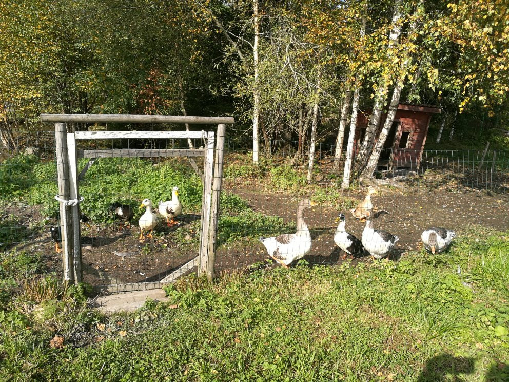 Savijärvi Gård-Sipoo必去景点