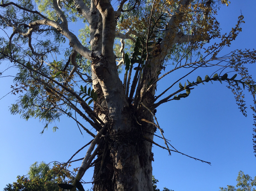 Cape Hillsborough National Park-Cape Hillsborough必去景点