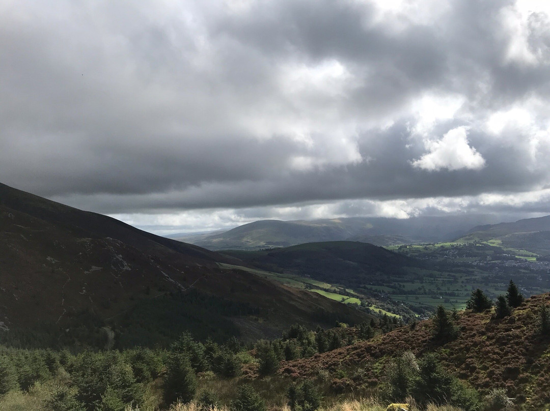 Dodd Wood Ospreywatch景点图片