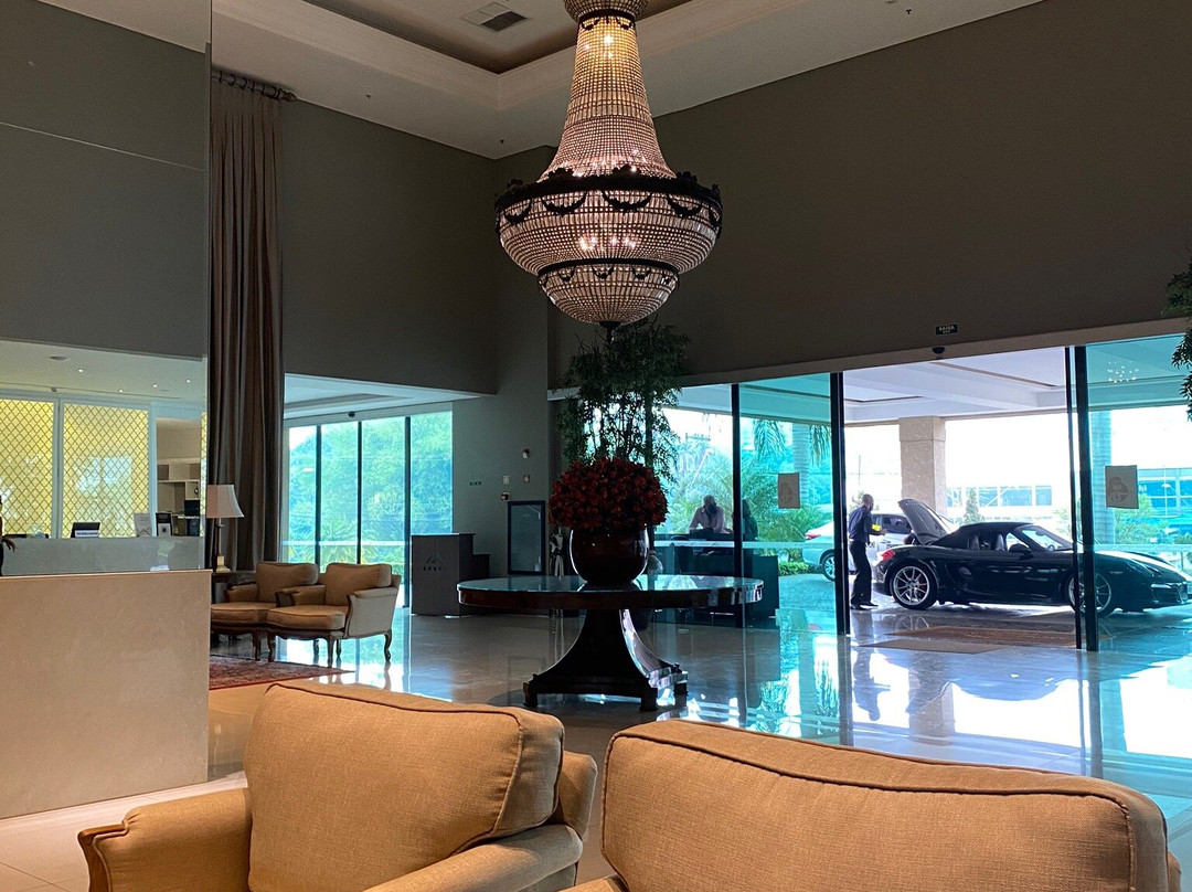 Hotel Araucária Plaza主图