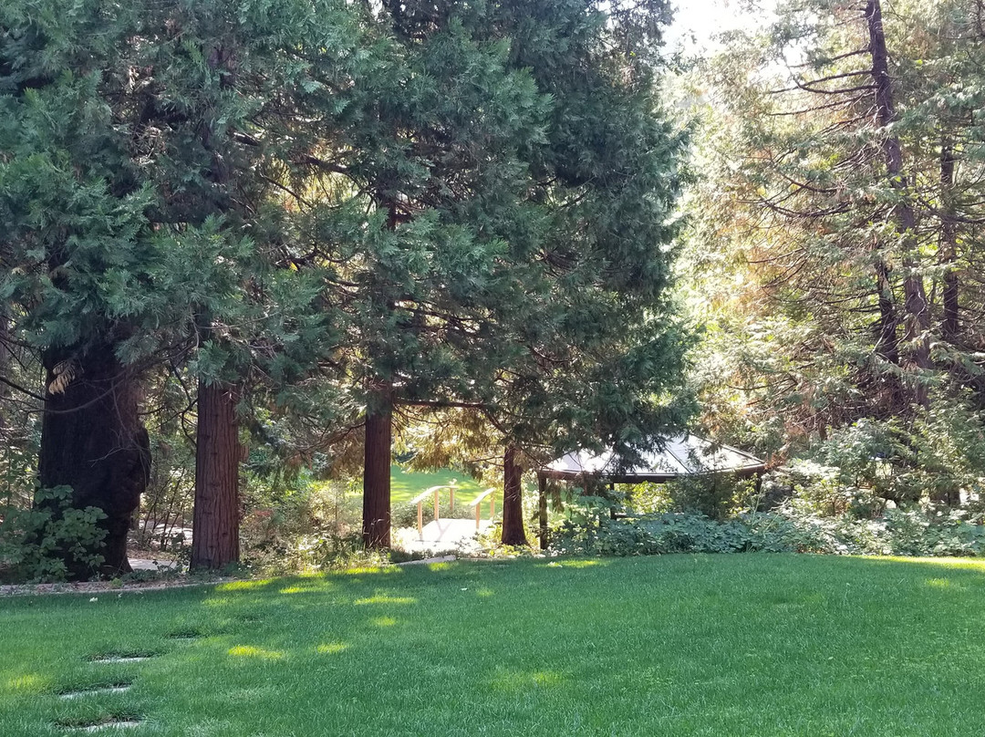 Arnold Black Bear Inn主图